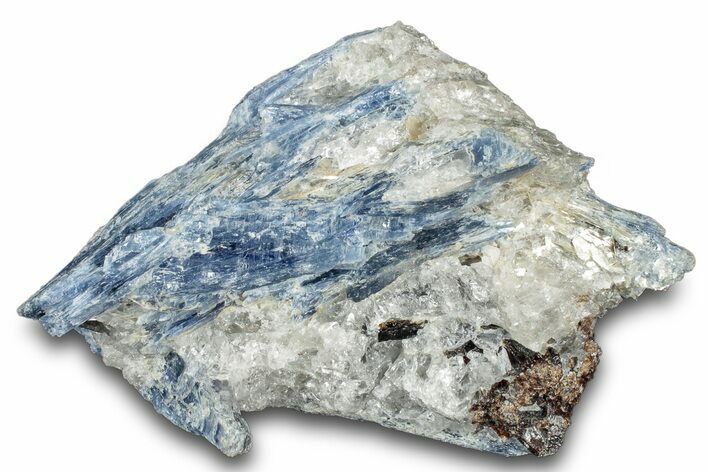 Vibrant Blue Kyanite Crystals and Staurolite In Quartz - Brazil #322546